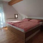 Apartmaji Mojca דירה *
