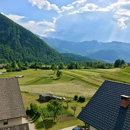 Apartmaji Mojca * Bohinji-tó