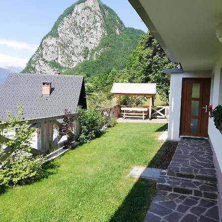 Apartmaji Mojca 보히니