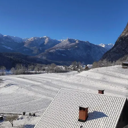 Apartmaji Mojca 아파트 *