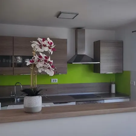 Apartmaji Mojca Bohinji-tó