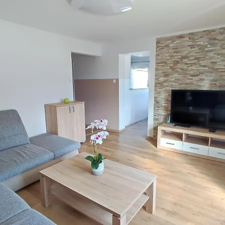 Apartmaji Mojca * 보히니