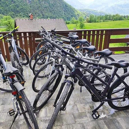 Apartmaji Mojca 아파트 *