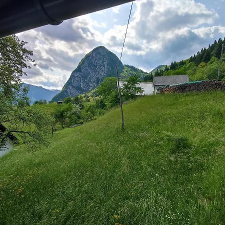 Apartmaji Mojca *