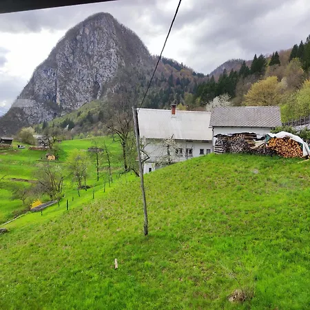 Apartmaji Mojca