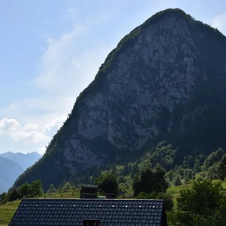 Apartmaji Mojca Bohinji-tó
