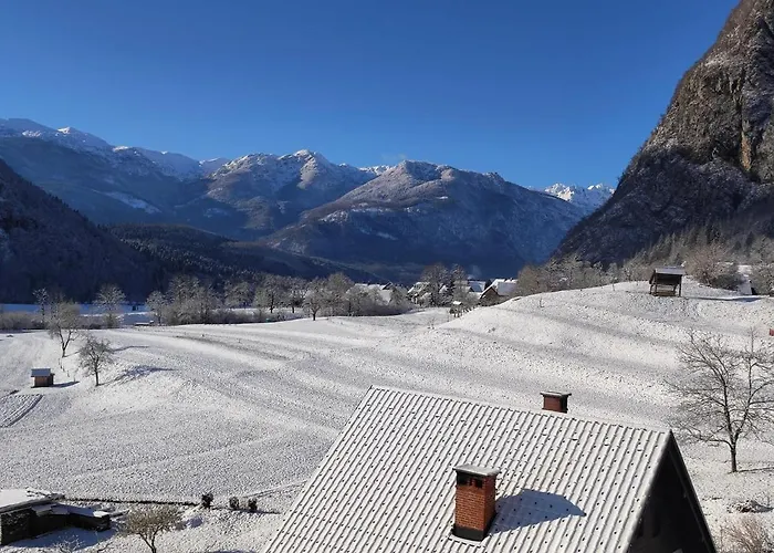 Apartmaji Mojca Apartment *