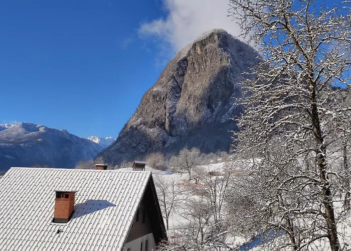 Διαμέρισμα Apartmaji Mojca Bohinj