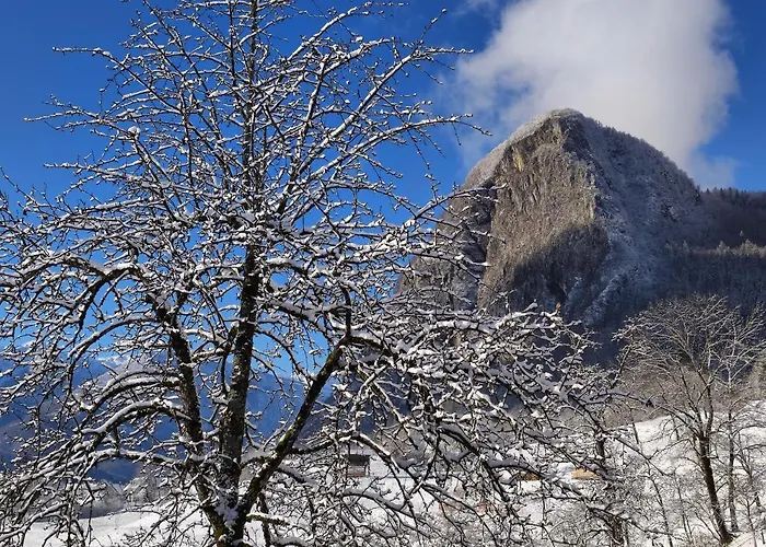Apartmaji Mojca Bohinj