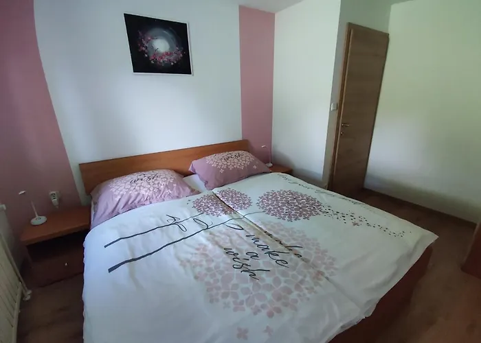 Daire Apartmaji Mojca