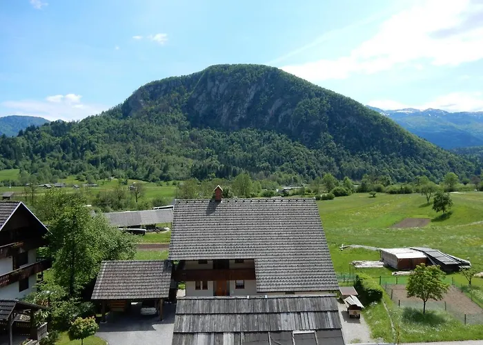 Apartmaji Mojca Daire *